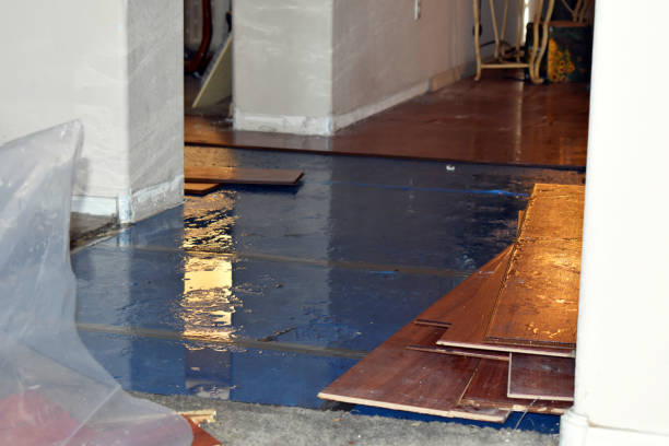 Professional Burst Pipe Cleanup technician working in West Concord, MA